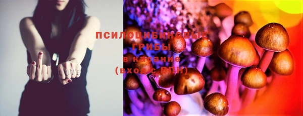 PSILOCYBIN Балабаново