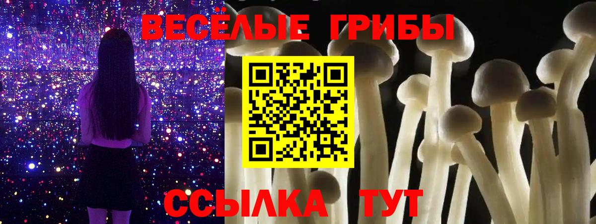 Галлюциногенные грибы Psilocybe Новый Уренгой